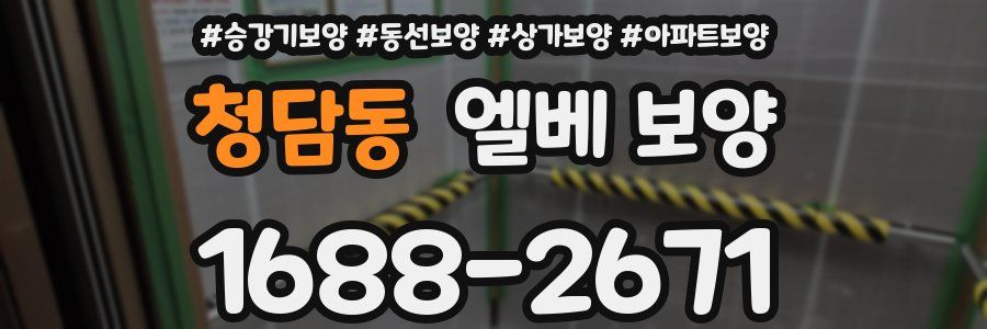 청담동 엘베 보양