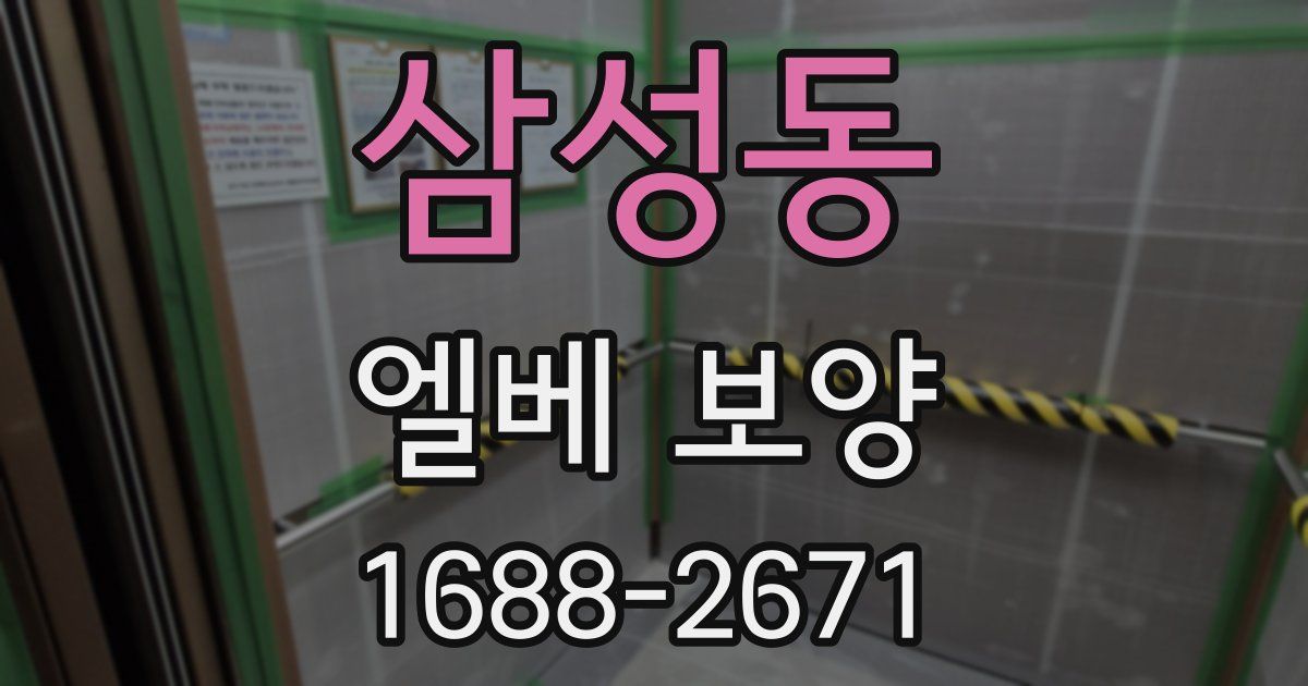 삼성동 엘베 보양