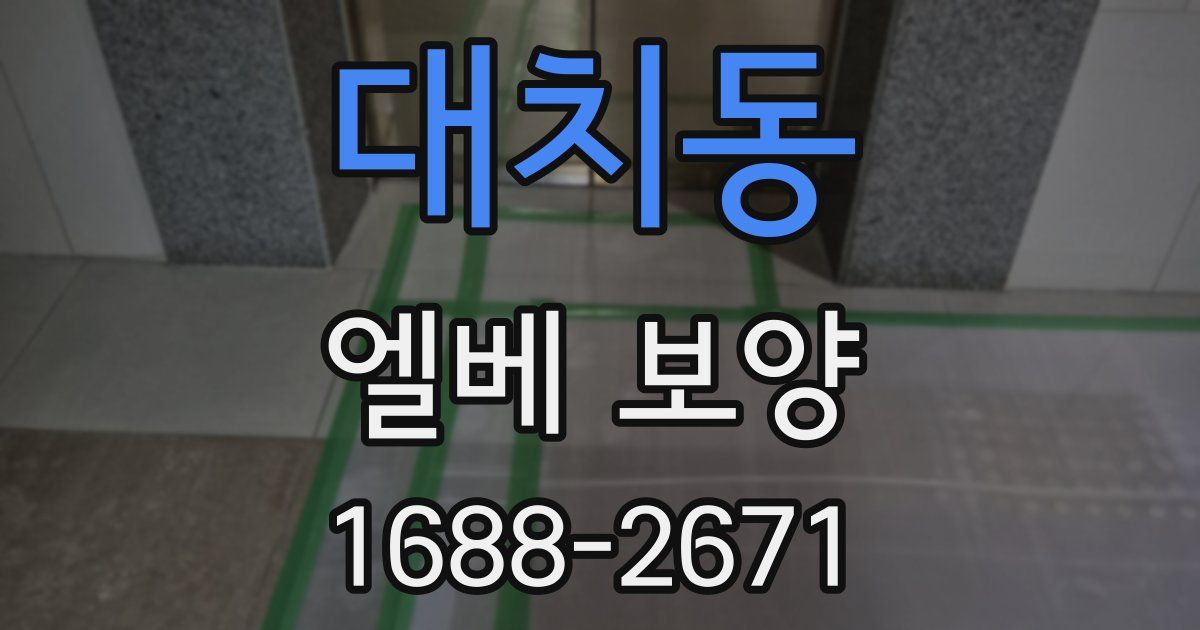 대치동 엘베 보양