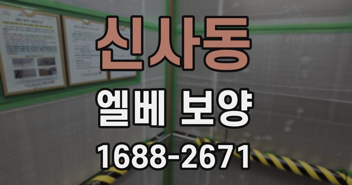 신사동 엘베 보양