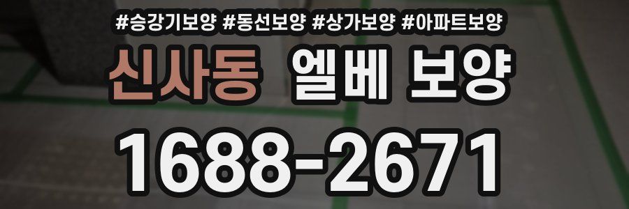 신사동 엘베 보양