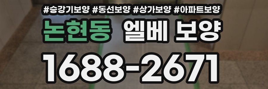 논현동 엘베 보양