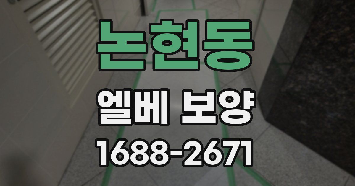 논현동 엘베 보양
