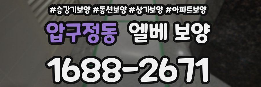 압구정동 엘베 보양