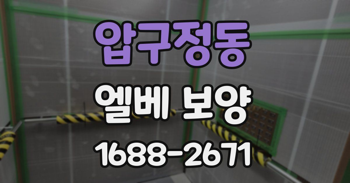 압구정동 엘베 보양