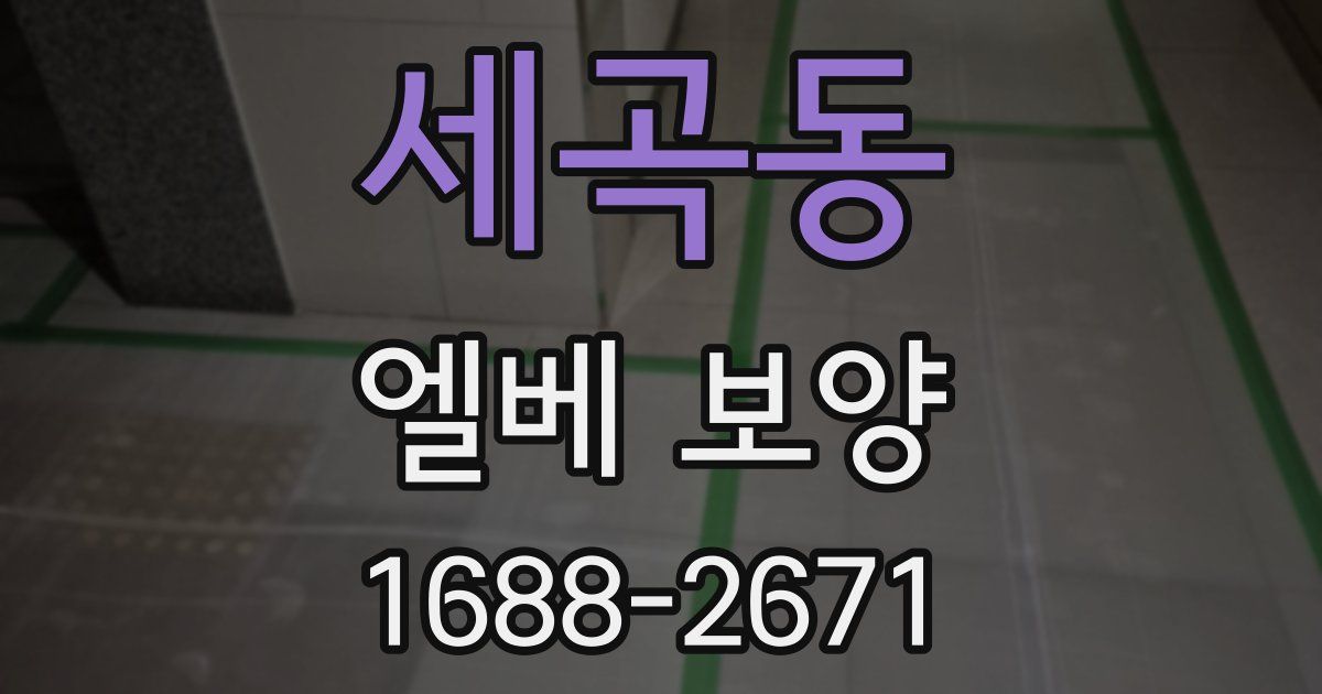 세곡동 엘베 보양