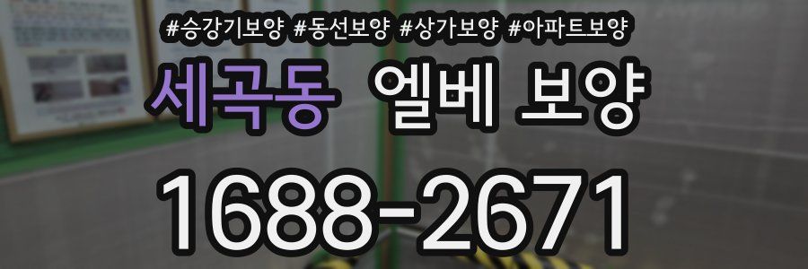 세곡동 엘베 보양
