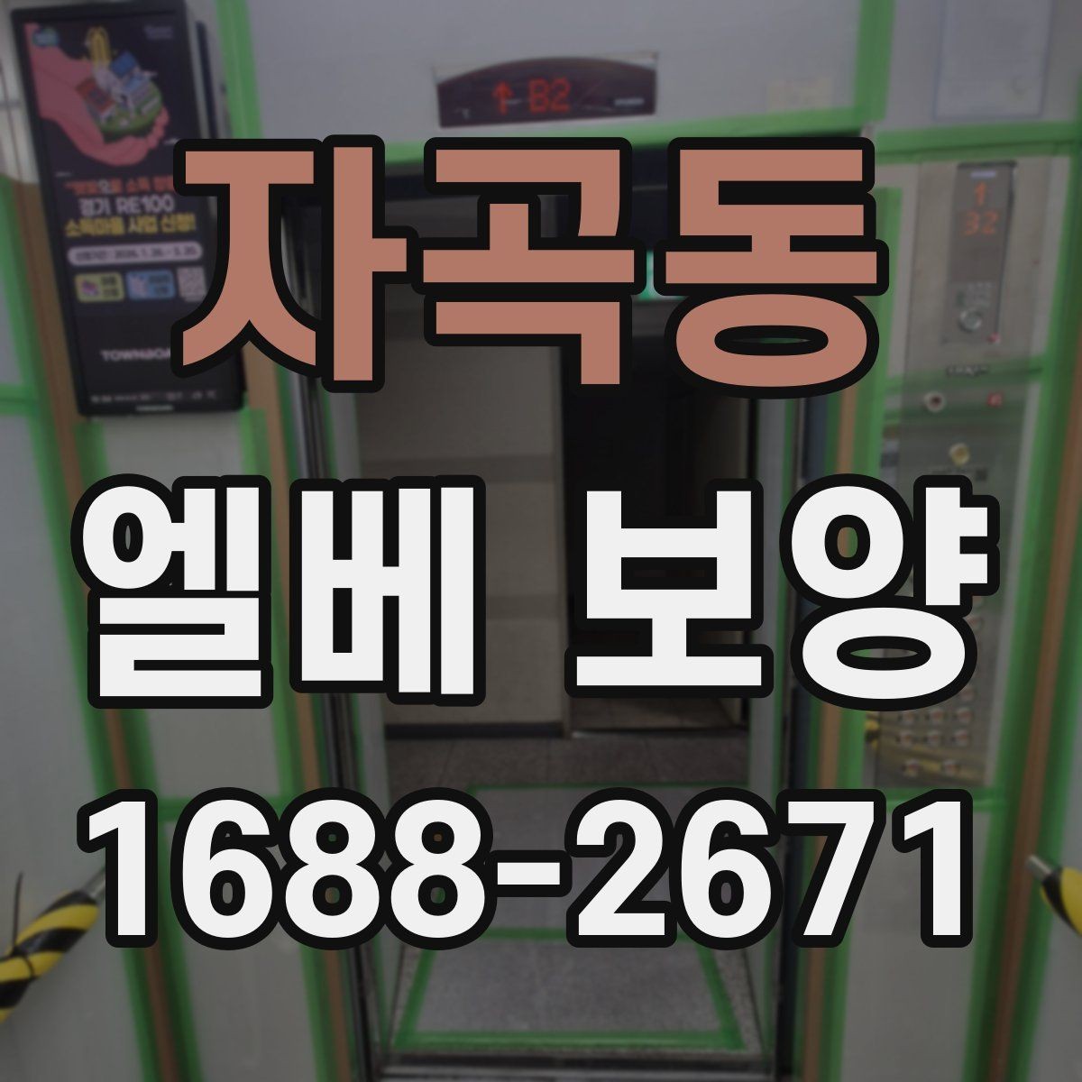 자곡동 엘베 보양 보양재 종류별 쓰임과 현장 선택 기준