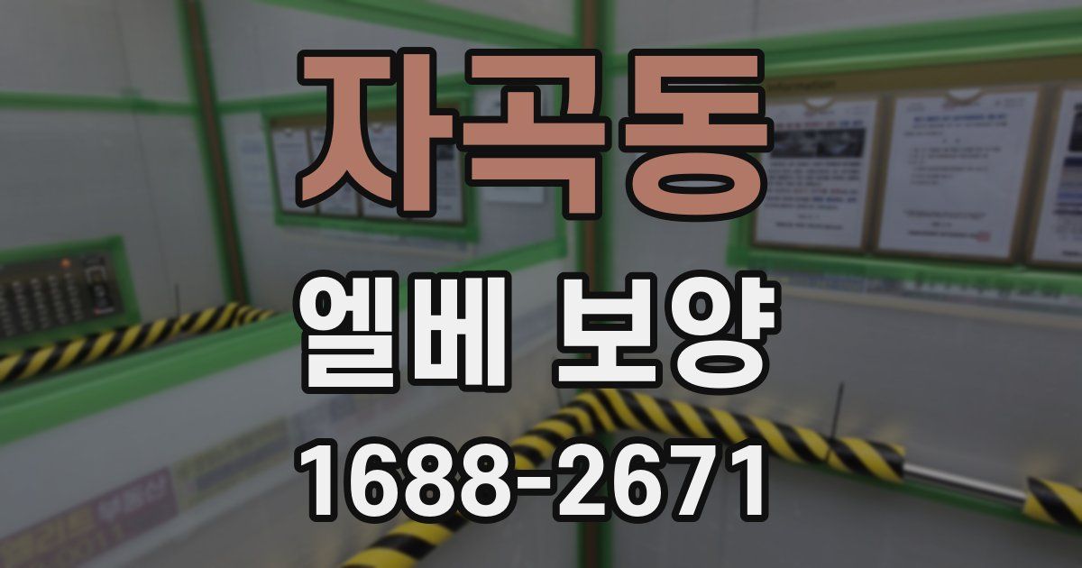 자곡동 엘베 보양