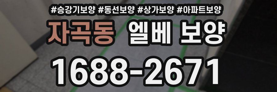 자곡동 엘베 보양