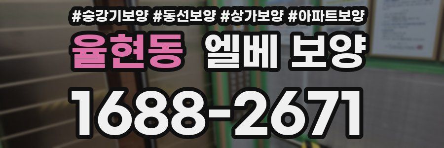 율현동 엘베 보양