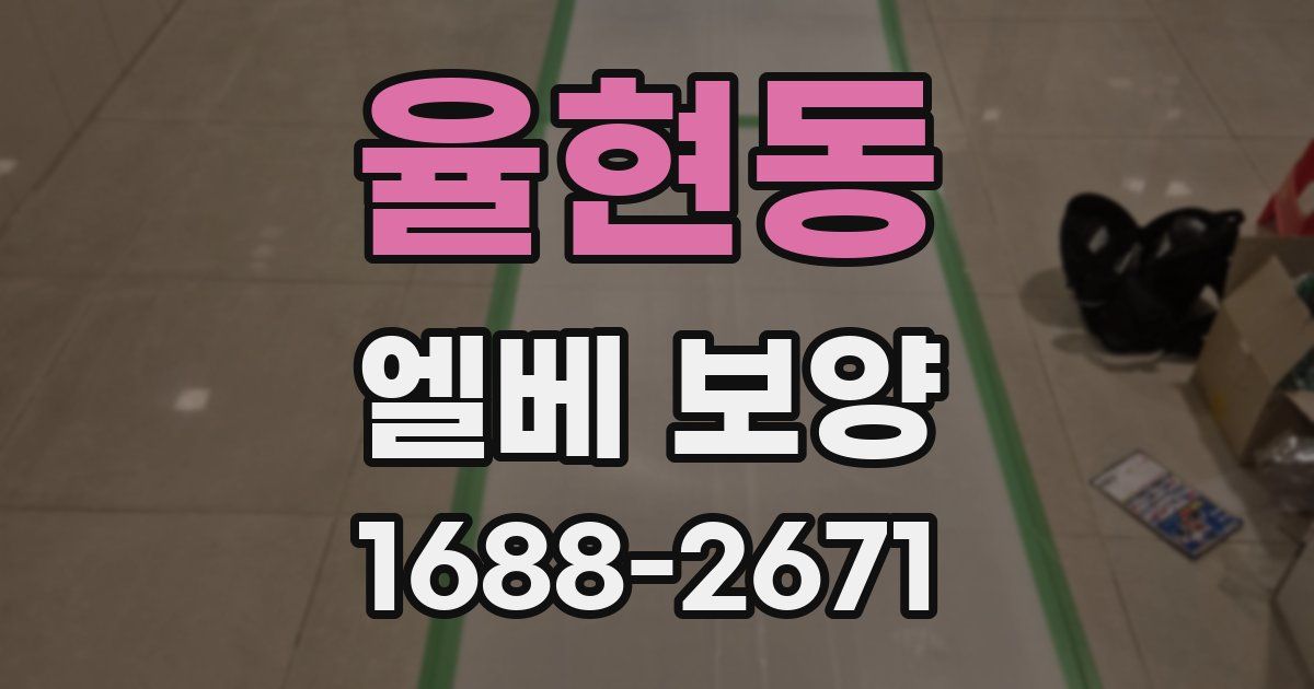 율현동 엘베 보양