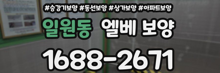 일원동 엘베 보양