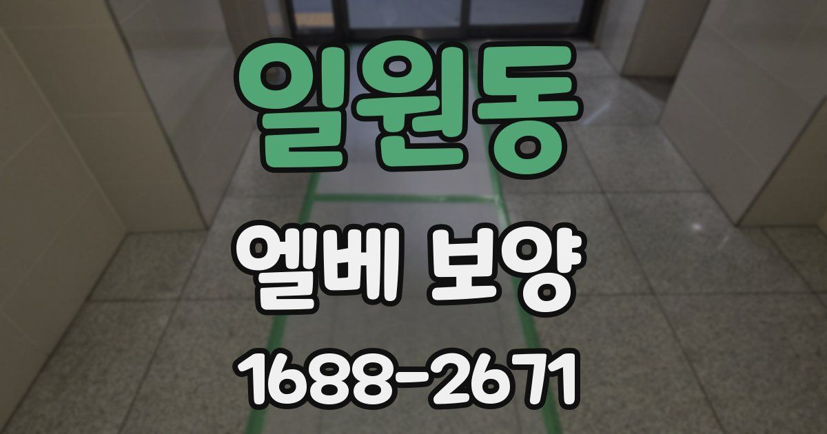 일원동 엘베 보양