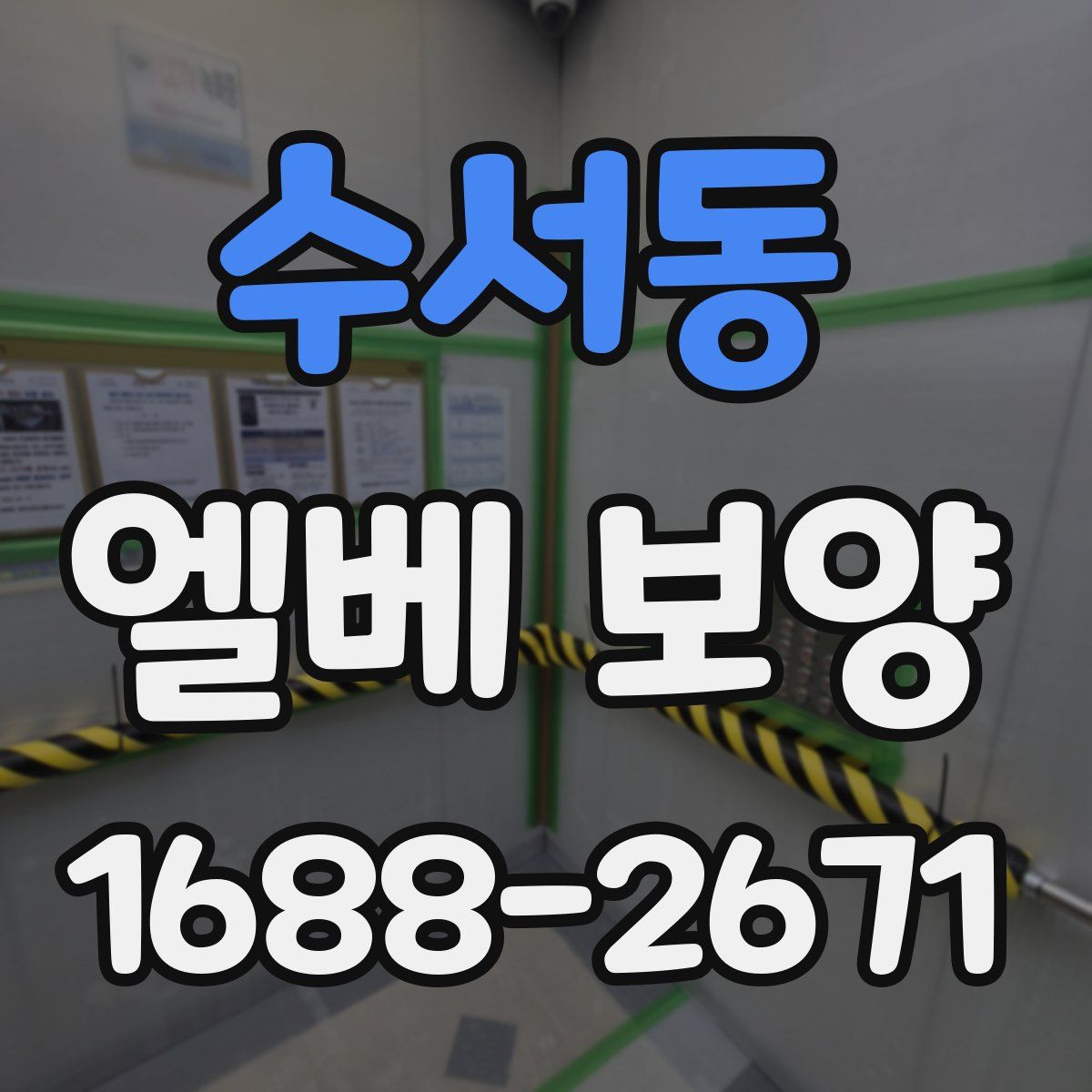 수서동 엘베 보양