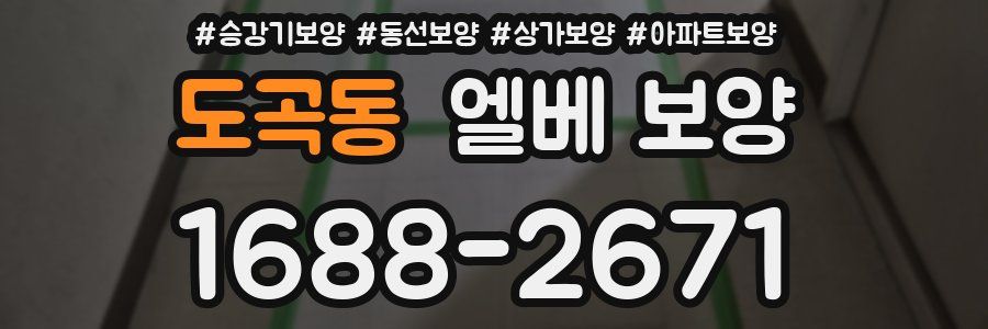 도곡동 엘베 보양