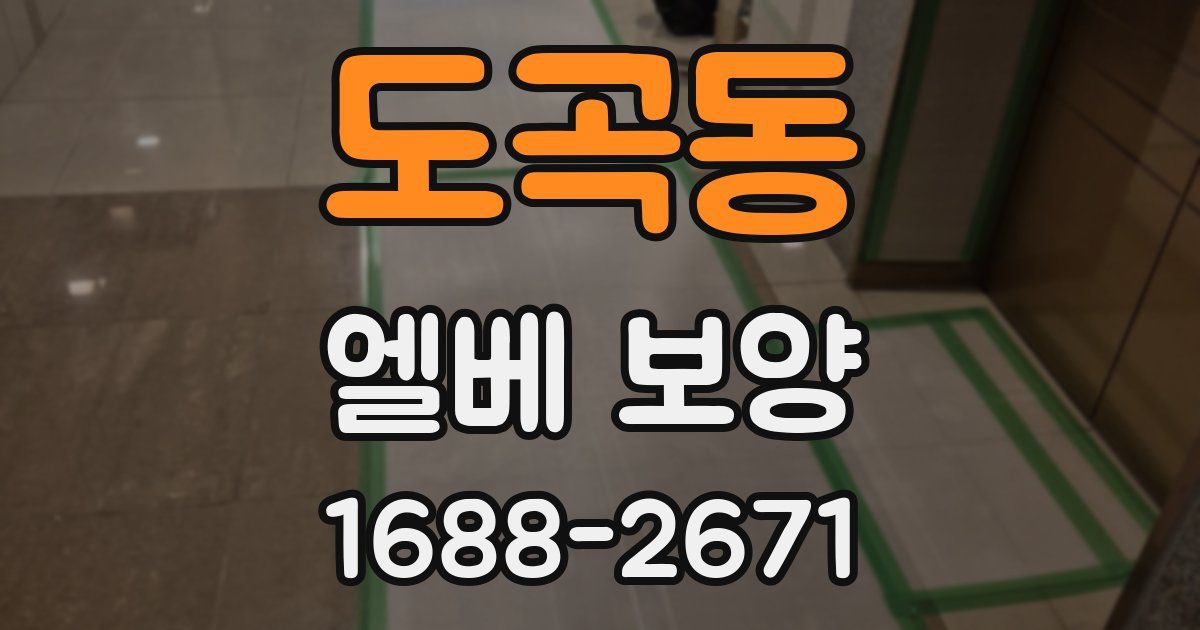 도곡동 엘베 보양