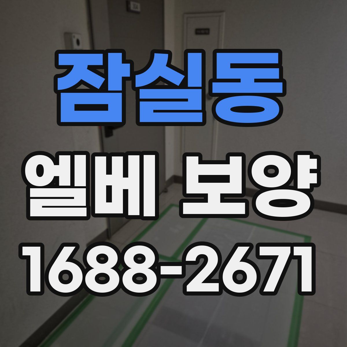 잠실동 엘베 보양
