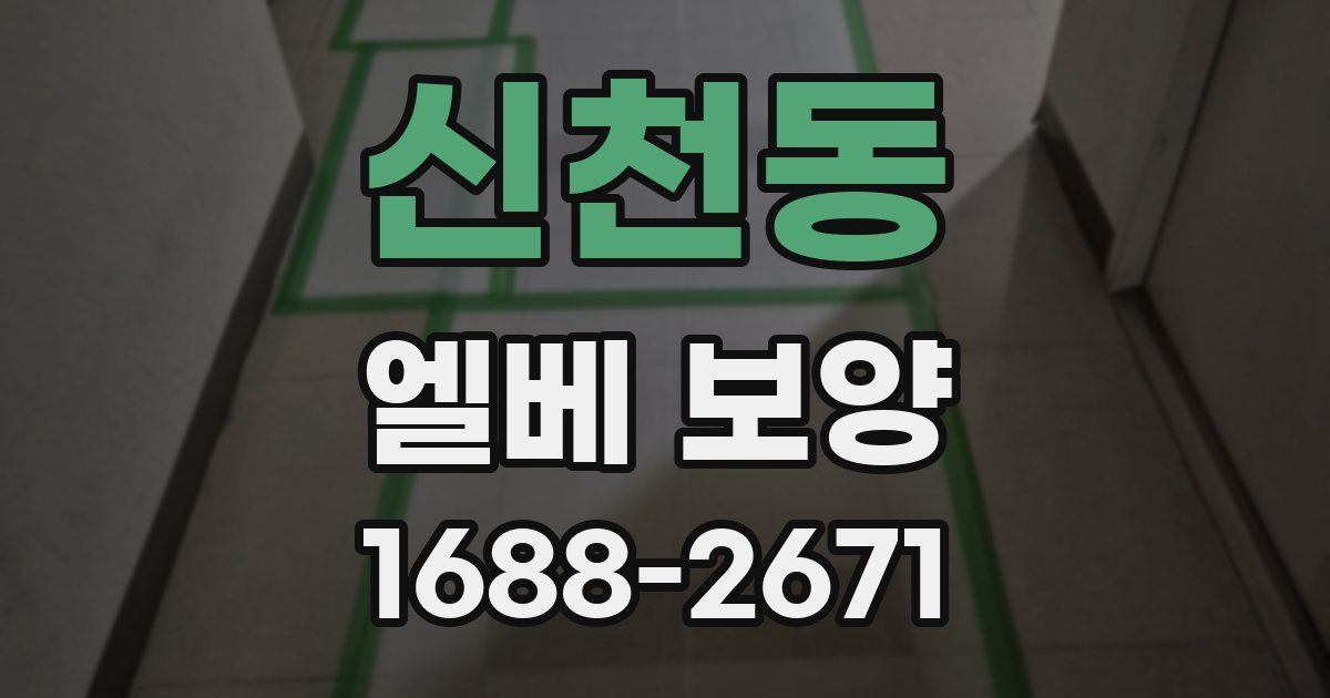 신천동 엘베 보양