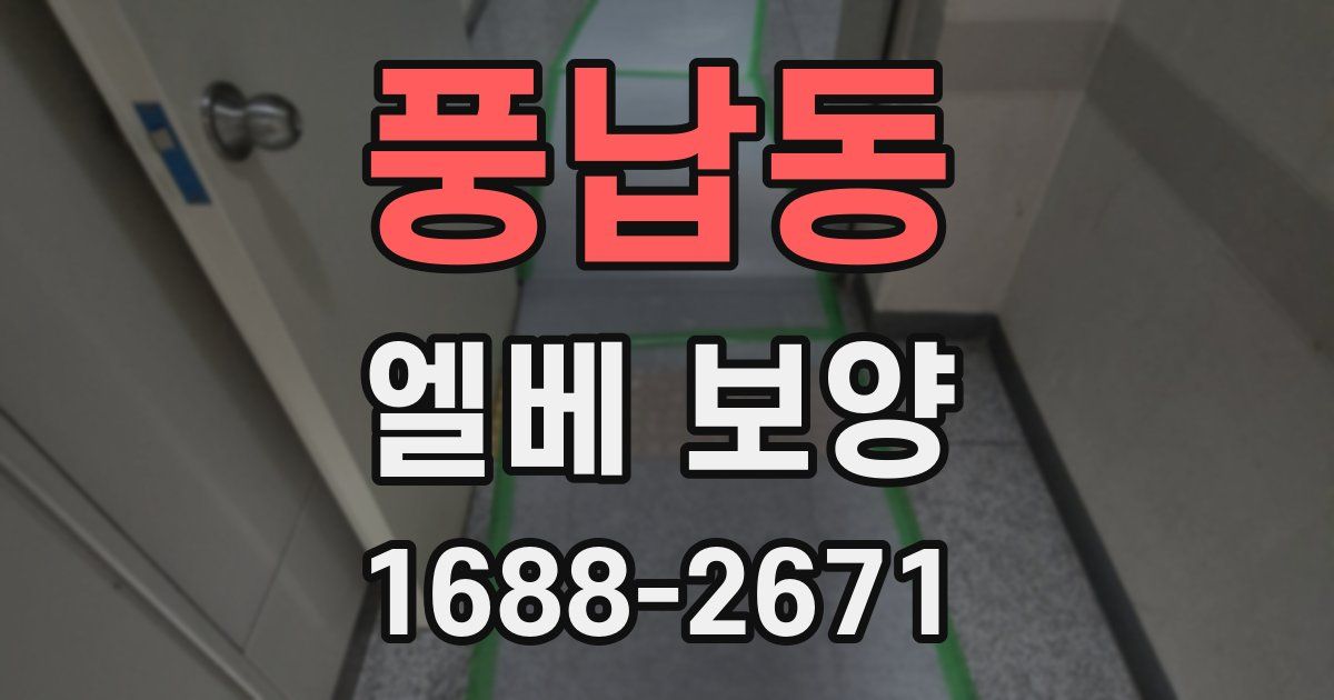 풍납동 엘베 보양
