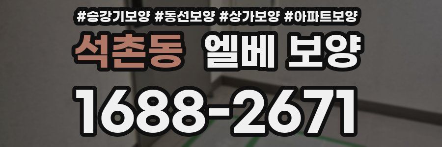 석촌동 엘베 보양