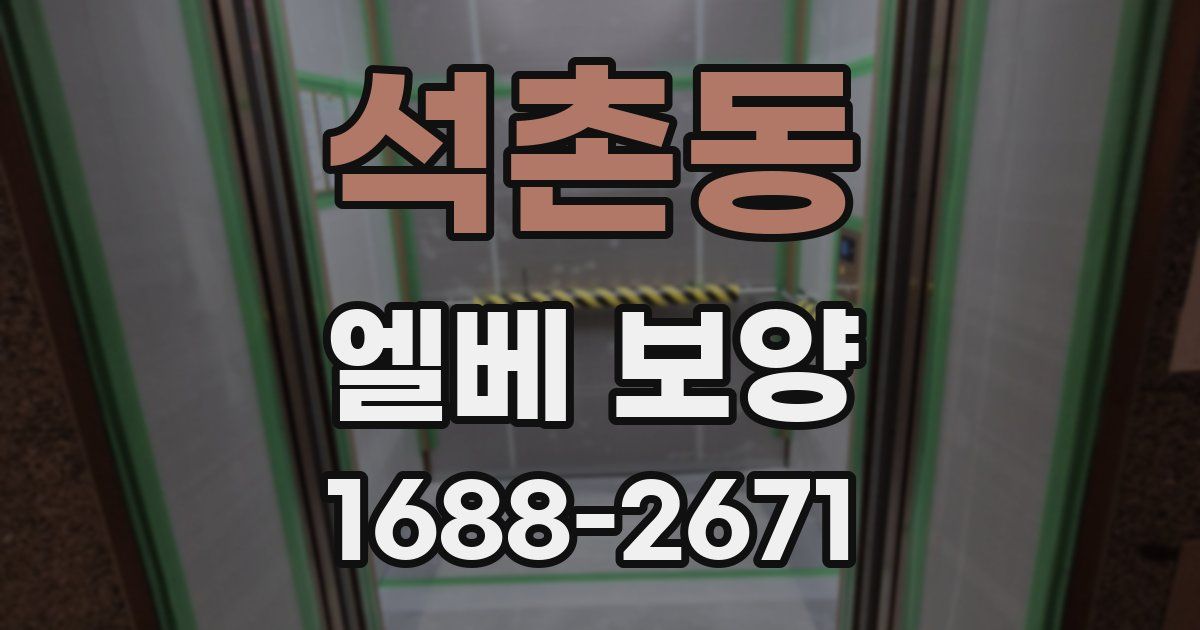 석촌동 엘베 보양