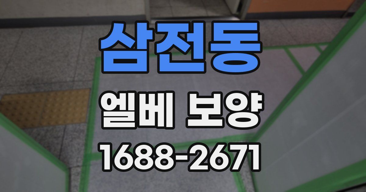 삼전동 엘베 보양