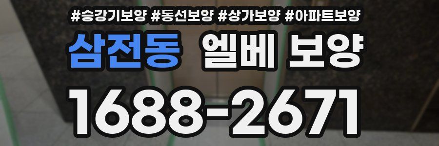 삼전동 엘베 보양