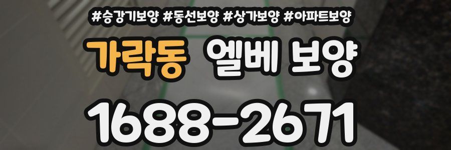 가락동 엘베 보양