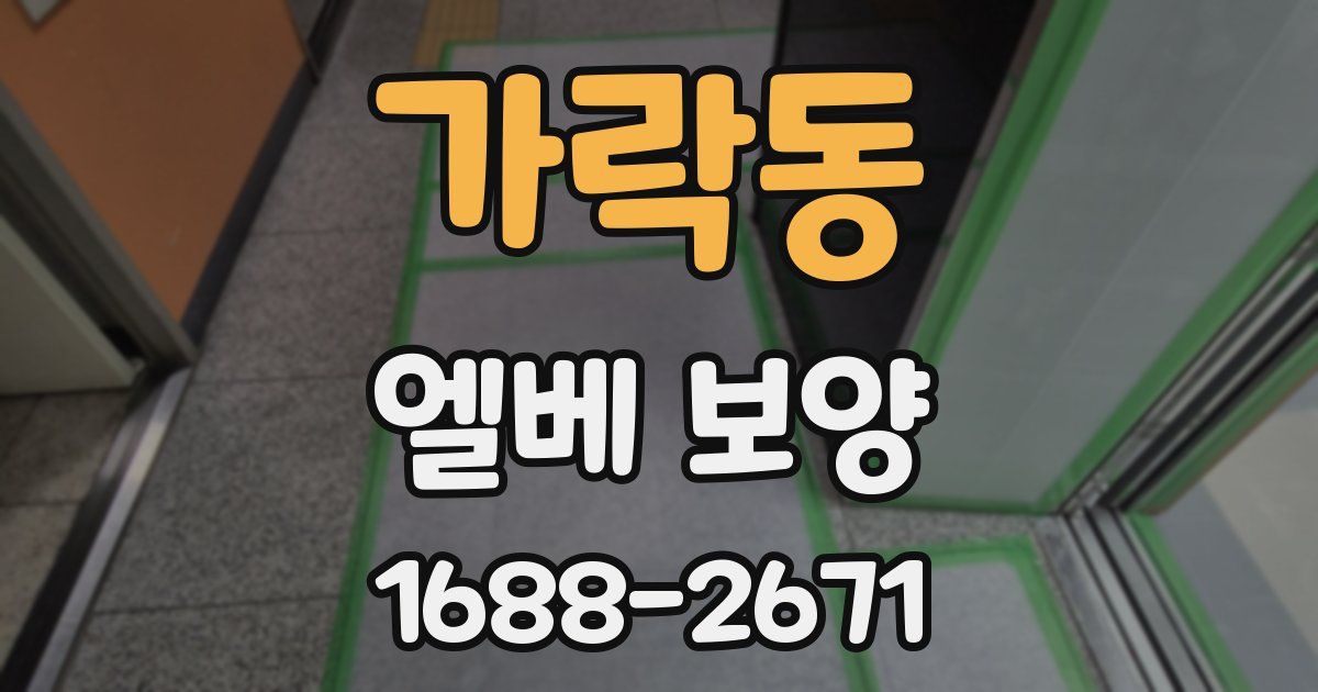 가락동 엘베 보양