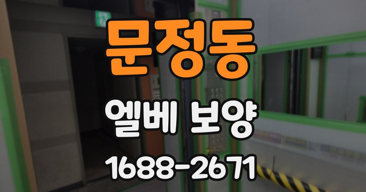 문정동 엘베 보양