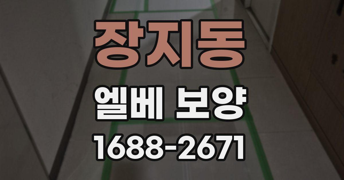 장지동 엘베 보양