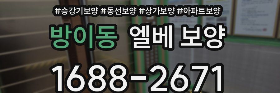 방이동 엘베 보양