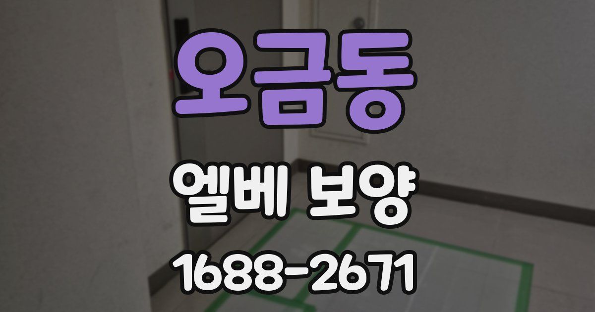 오금동 엘베 보양