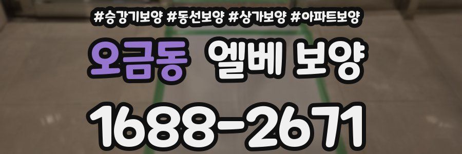 오금동 엘베 보양