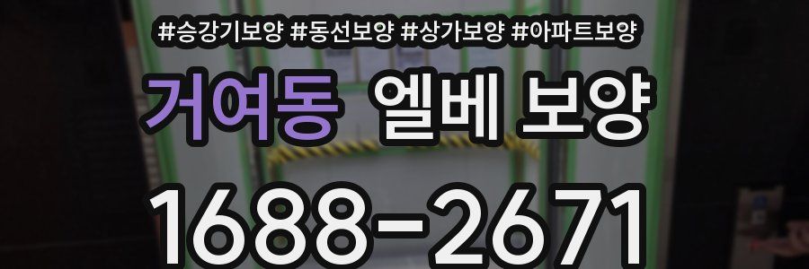 거여동 엘베 보양