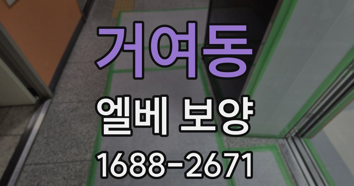 거여동 엘베 보양