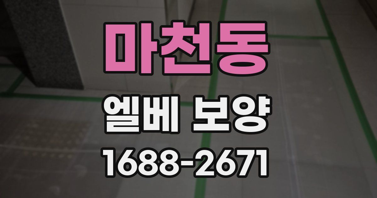마천동 엘베 보양