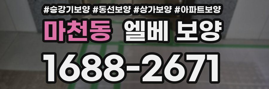 마천동 엘베 보양