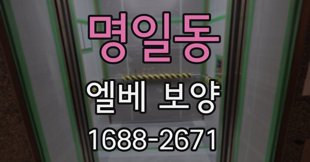 명일동 엘베 보양