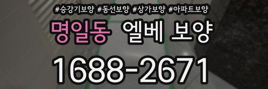 명일동 엘베 보양