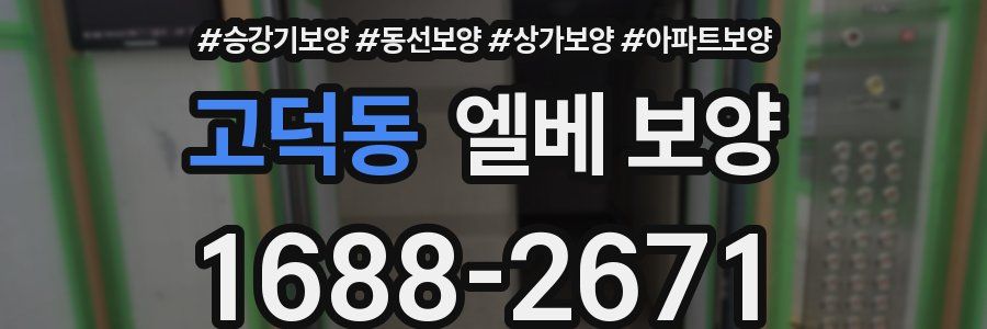 고덕동 엘베 보양
