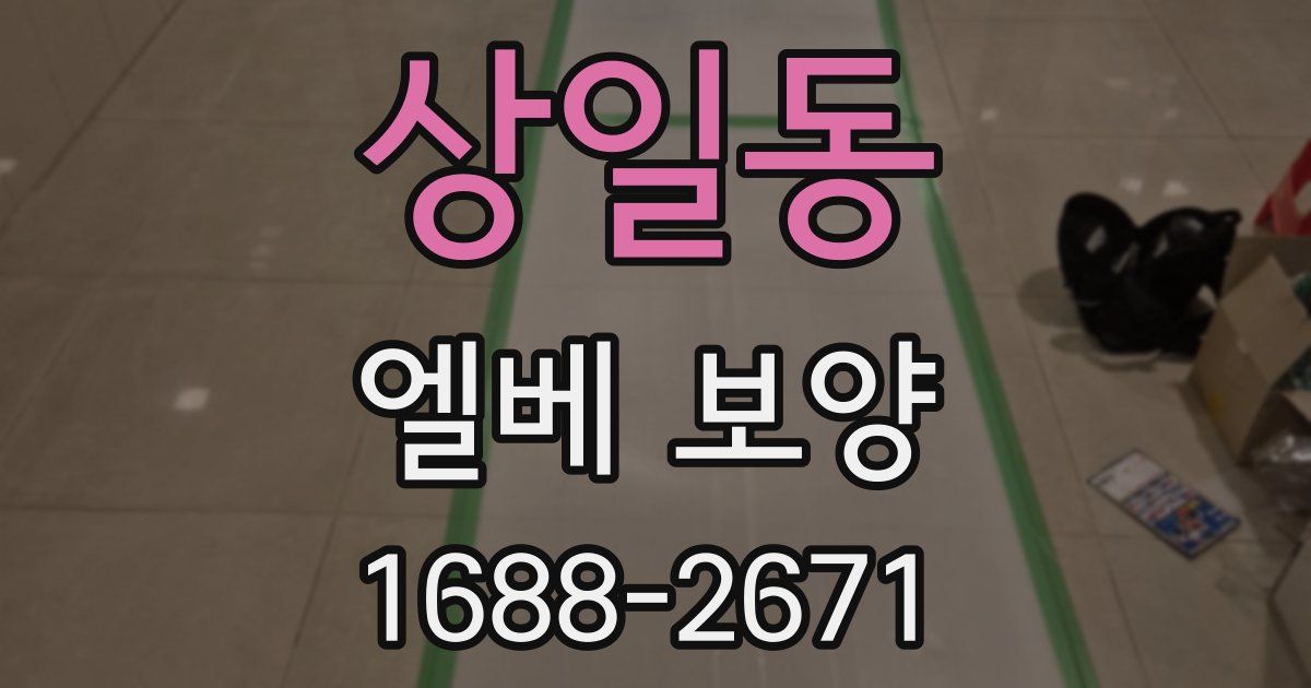 상일동 엘베 보양