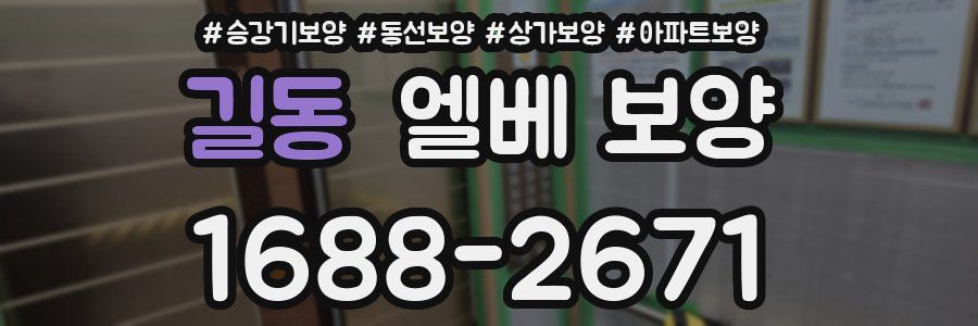 길동 엘베 보양