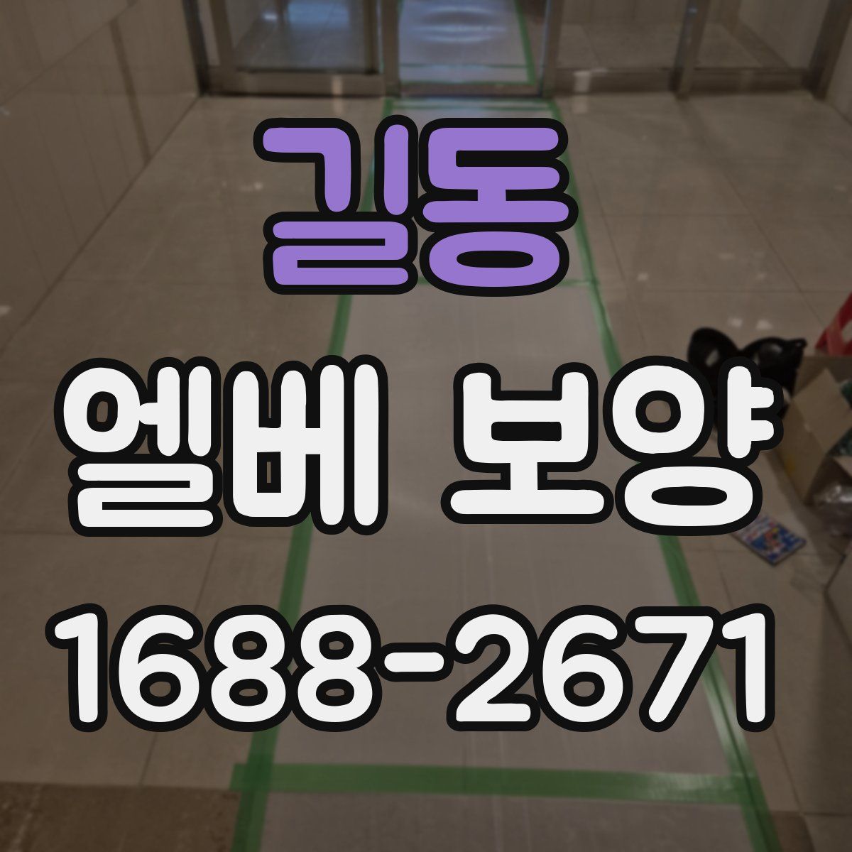 길동 엘베 보양