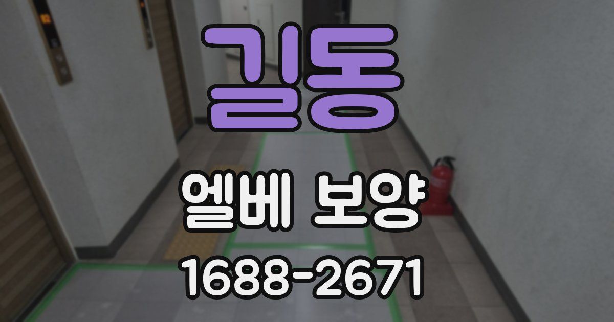 길동 엘베 보양