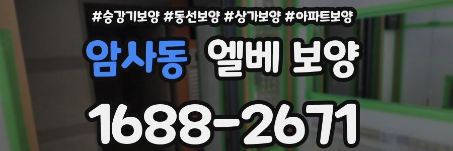 암사동 엘베 보양