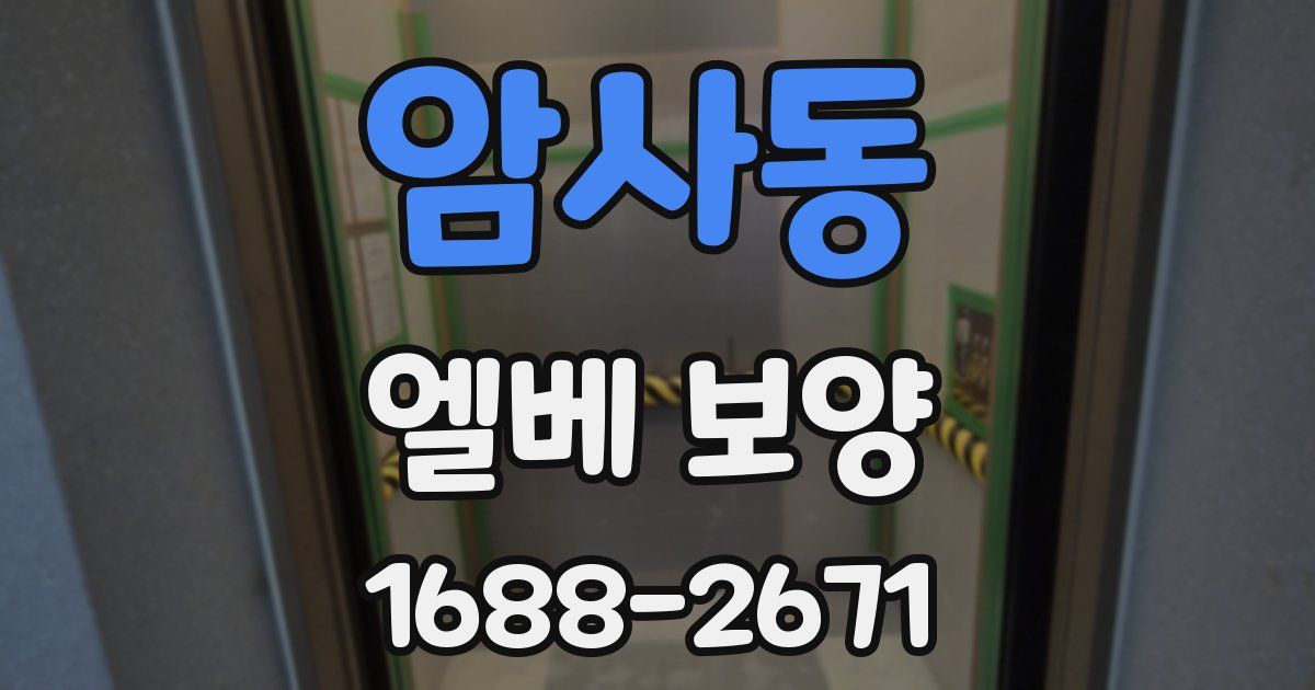 암사동 엘베 보양