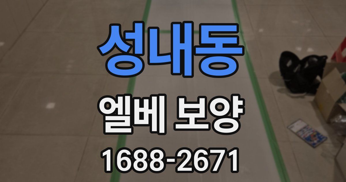 성내동 엘베 보양