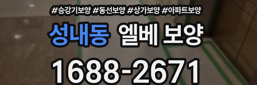 성내동 엘베 보양